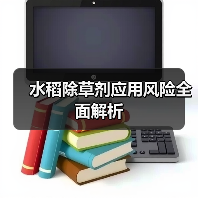 水稻除草剂应用风险全面解析