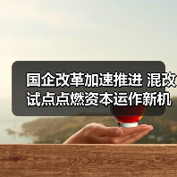 国企改革加速推进 混改试点点燃资本运作新机遇(图3) 国企改革加速推进 混改试点点燃资本运作新机遇(图3)