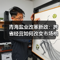 青海盐业改革新政:跨省经营如何改变市场格局?(图4) 青海盐业改革新政:跨省经营如何改变市场格局?(图4)