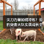尖刀力量如何淬炼？云豹突击大队实战成长全记录（图3）