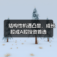 结构性机遇凸显,成长股成A股投资首选(图2) 结构性机遇凸显,成长股成A股投资首选(图2)