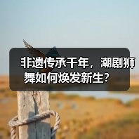 非遗传承千年,潮剧狮舞如何焕发新生?(图2) 非遗传承千年,潮剧狮舞如何焕发新生?(图2)