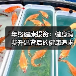 年终健康投资：健身消费升温背后的健康追求（图4）