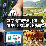 数字货币研发加速,未来支付格局将如何演变?(图2) 数字货币研发加速,未来支付格局将如何演变?(图2)