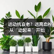 运动抗衰老?远离血栓从“动起来”开始(图4) 运动抗衰老?远离血栓从“动起来”开始(图4)