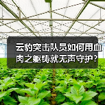 云豹突击队员如何用血肉之躯铸就无声守护？（图4）