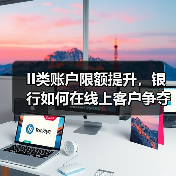 II类账户限额提升，银行如何在线上客户争夺战中突围？（图2）