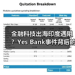 金融科技出海印度遇阻?Yes Bank事件背后的行业挑战(图3) 金融科技出海印度遇阻?Yes Bank事件背后的行业挑战(图3)