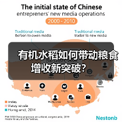 有机水稻如何带动粮食增收新突破？