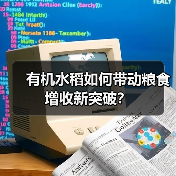 有机水稻如何带动粮食增收新突破?(图3) 有机水稻如何带动粮食增收新突破?(图3)