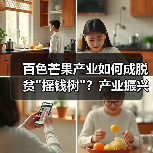 百色芒果产业如何成脱贫
