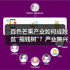 百色芒果产业如何成脱贫