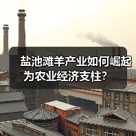 盐池滩羊产业如何崛起为农业经济支柱?(图2) 盐池滩羊产业如何崛起为农业经济支柱?(图2)