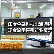 印度金融科技出海遇阻 现金流困境引行业反思（图3）