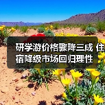 研学游价格骤降三成 住宿降级市场回归理性
