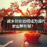 返乡创业如何成为现代农业新引擎？