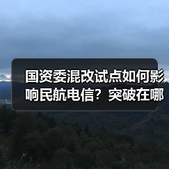 国资委混改试点如何影响民航电信?突破在哪里?(图4) 国资委混改试点如何影响民航电信?突破在哪里?(图4)