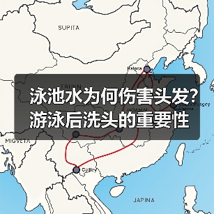 泳池水为何伤害头发?游泳后洗头的重要性(图4) 泳池水为何伤害头发?游泳后洗头的重要性(图4)