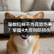 瑜伽拉伸不当竟致伤害？掌握4大原则防损伤