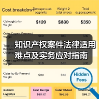 知识产权案件法律适用难点及实务应对指南（图1）