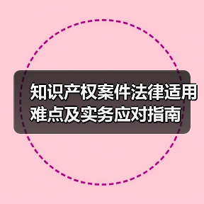 知识产权案件法律适用难点及实务应对指南（图4）
