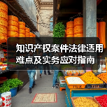知识产权案件法律适用难点及实务应对指南（图3）