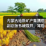 内蒙古地质矿产集团原副总张韦被双开，背后原因引热议（图3）