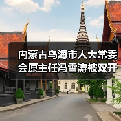 内蒙古乌海市人大常委会原主任冯雪涛被双开原因深度解析（图2）