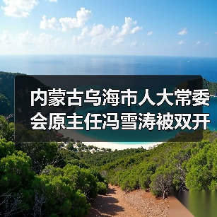 内蒙古乌海市人大常委会原主任冯雪涛被双开原因深度解析（图3）