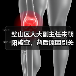璧山区人大副主任朱朝阳被查，背后原因引关注（图2）
