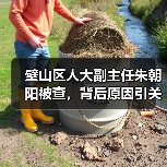 璧山区人大副主任朱朝阳被查，背后原因引关注（图1）