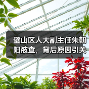 璧山区人大副主任朱朝阳被查，背后原因引关注（图3）