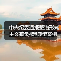 中央纪委通报整治形式主义减负4起典型案例（图2）