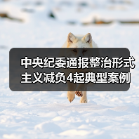 中央纪委通报整治形式主义减负4起典型案例（图3）