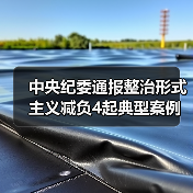 中央纪委通报整治形式主义减负4起典型案例（图4）