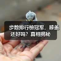 步数排行榜冠军，膝盖还好吗？真相揭秘（图2）