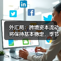 外汇局：跨境资本流动将保持基本稳定，季节性因素影响可控（图4）