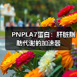 PNPLA7蛋白：肝脏脂肪代谢的加速器（图2）
