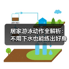 居家游泳动作全解析：不用下水也能练出好身材（图3）