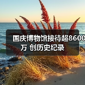 国庆博物馆接待超8600万 创历史纪录