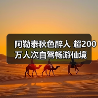 阿勒泰秋色醉人 超200万人次自驾畅游仙境（图4）