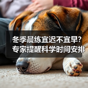 冬季晨练宜迟不宜早？专家提醒科学时间安排（图3）