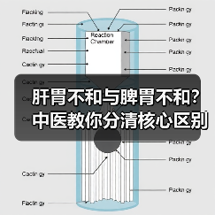 肝胃不和与脾胃不和？中医教你分清核心区别（图2）