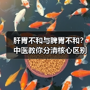 肝胃不和与脾胃不和？中医教你分清核心区别（图3）