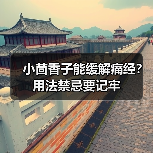 小茴香子能缓解痛经？用法禁忌要记牢（图2）