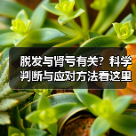 脱发与肾亏有关？科学判断与应对方法看这里（图4）