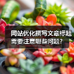 网站优化撰写文章标题需要注意哪些问题？