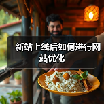 新站上线后如何进行网站优化(图2) 新站上线后如何进行网站优化(图2)