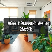 新站上线后如何进行网站优化(图3) 新站上线后如何进行网站优化(图3)