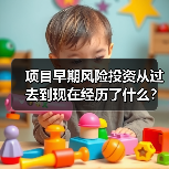 项目早期风险投资从过去到现在经历了什么？